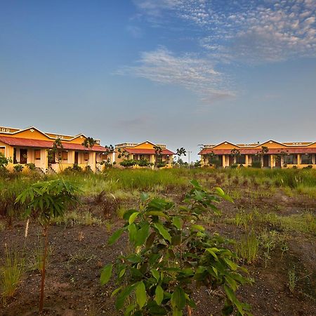 Blackbuck Safari Lodge Velavadar Bavliari Zewnętrze zdjęcie