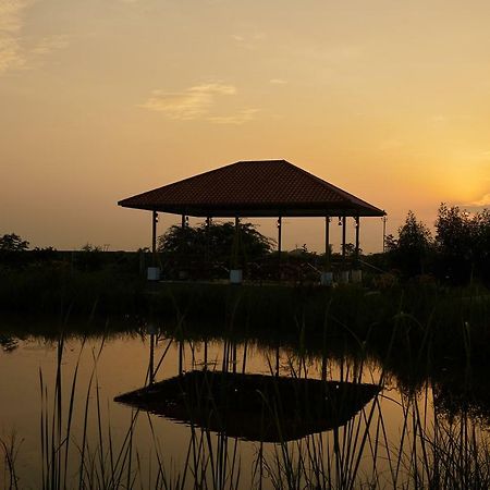 Blackbuck Safari Lodge Velavadar Bavliari Zewnętrze zdjęcie