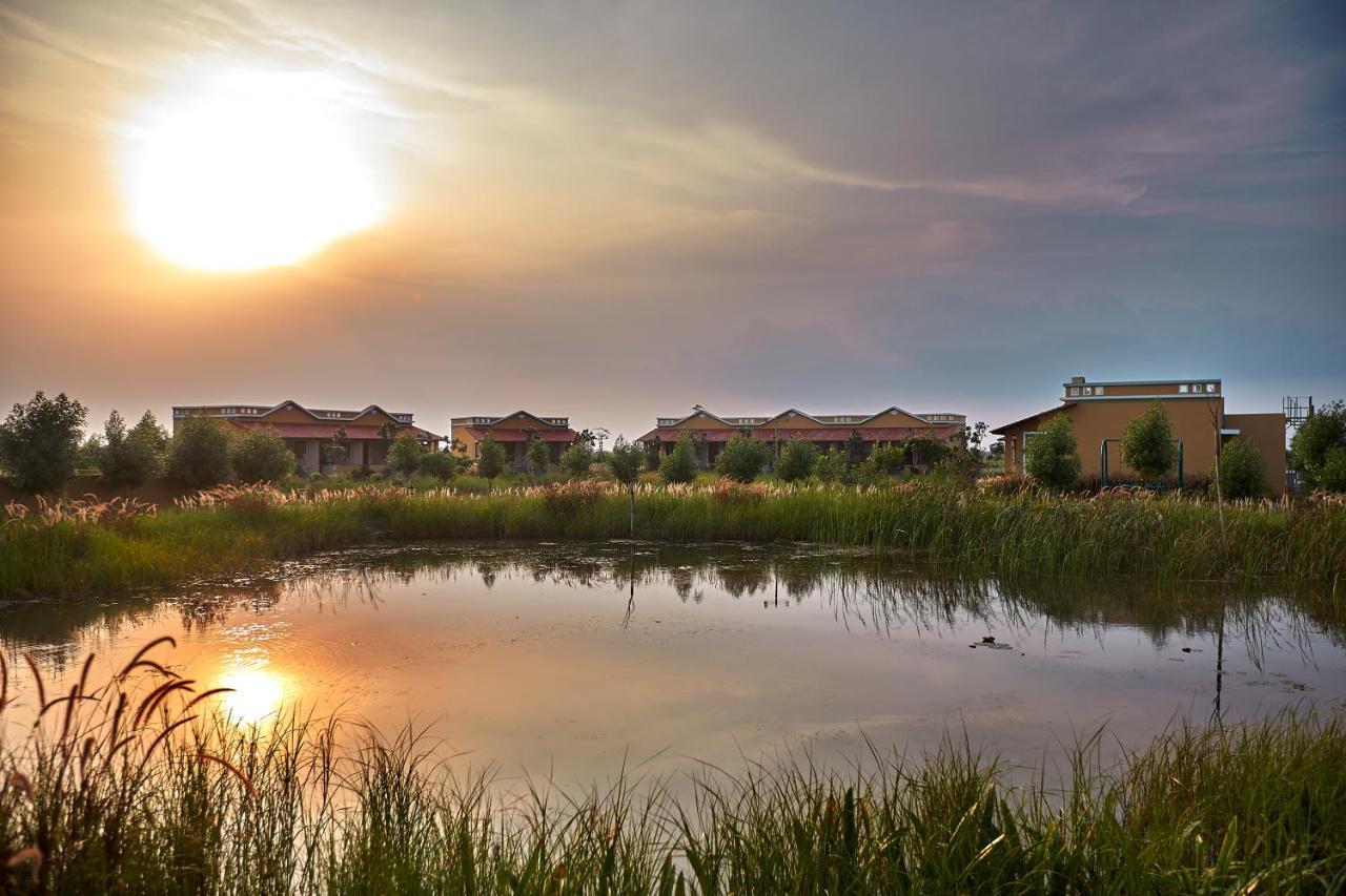 Blackbuck Safari Lodge Velavadar Bavliari Zewnętrze zdjęcie