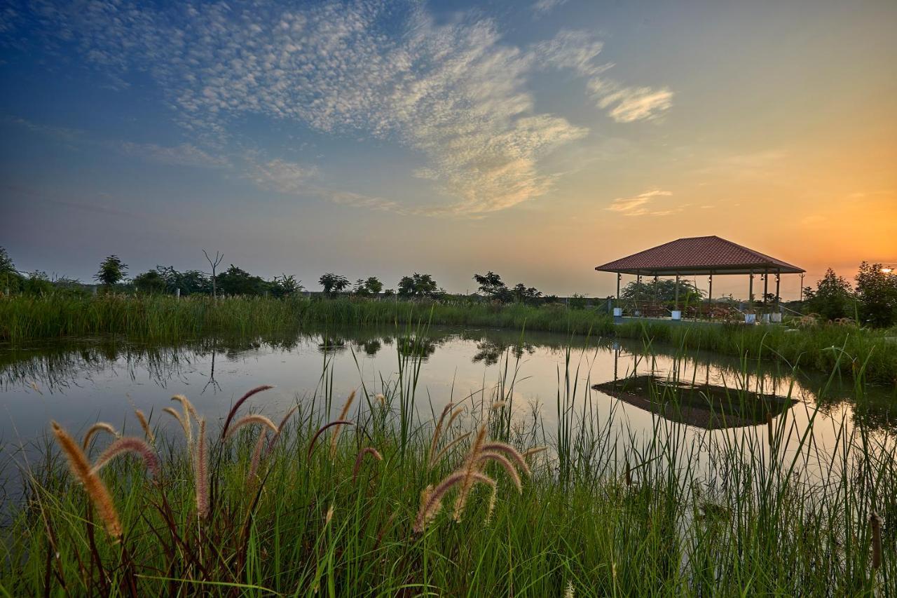 Blackbuck Safari Lodge Velavadar Bavliari Zewnętrze zdjęcie