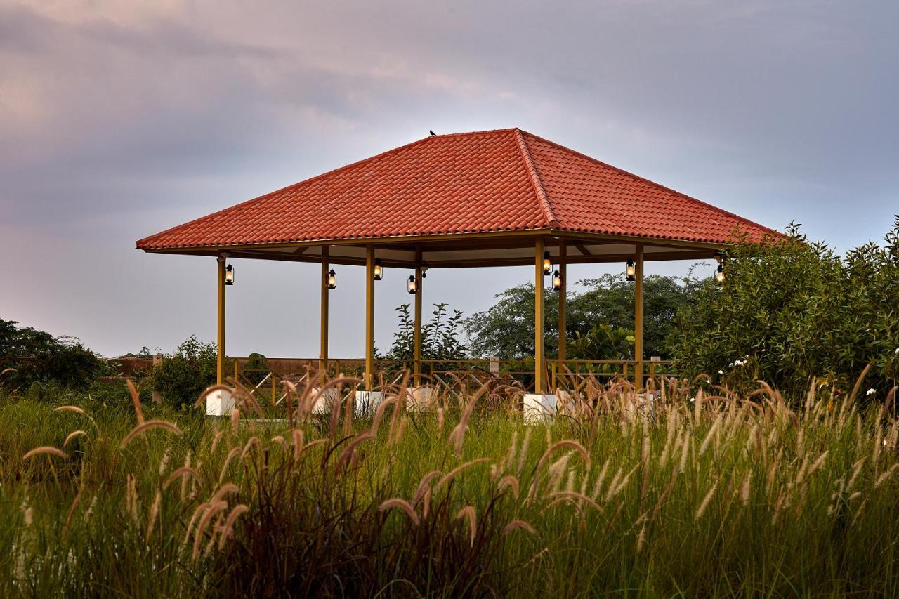 Blackbuck Safari Lodge Velavadar Bavliari Zewnętrze zdjęcie