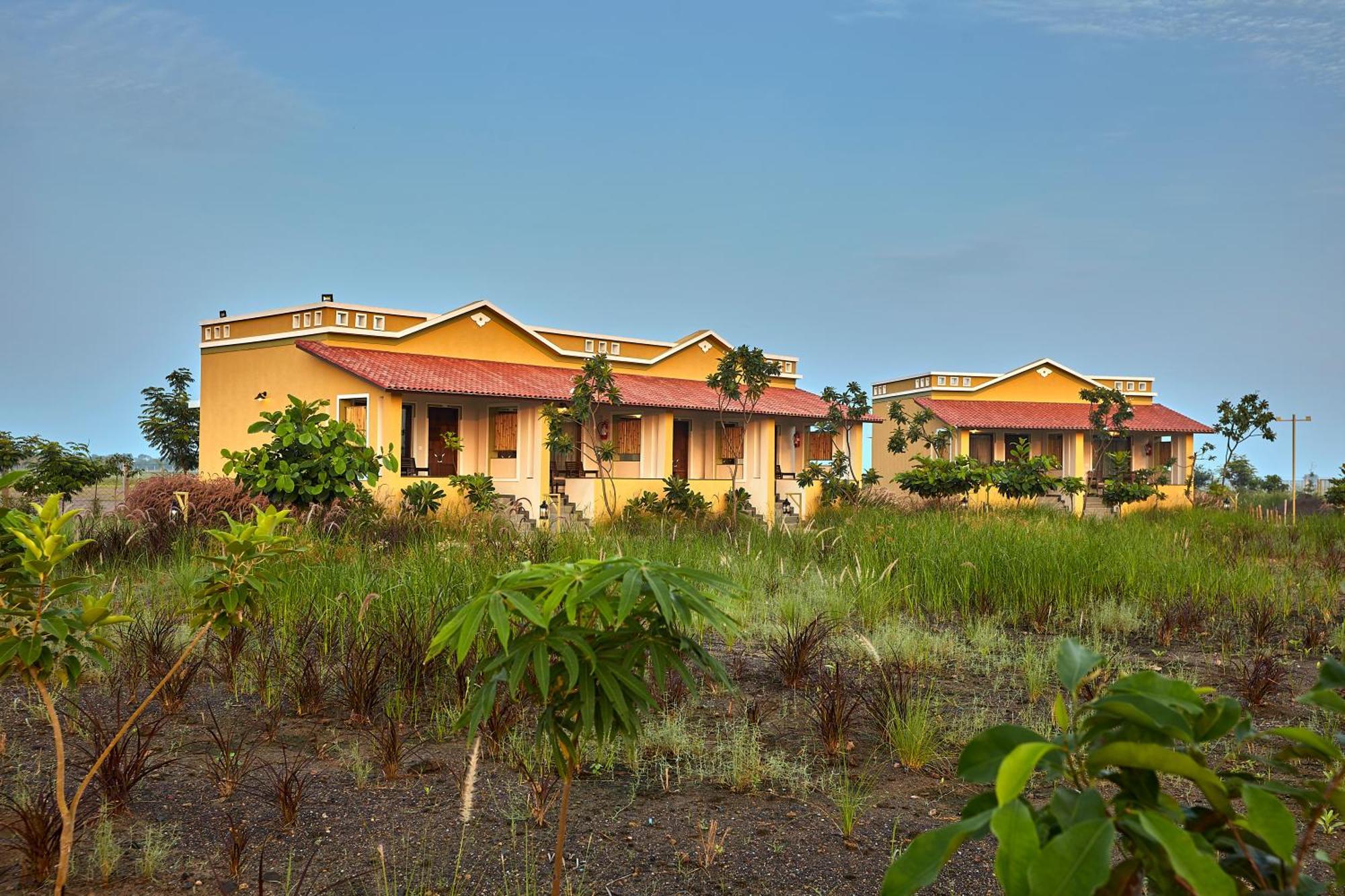 Blackbuck Safari Lodge Velavadar Bavliari Zewnętrze zdjęcie