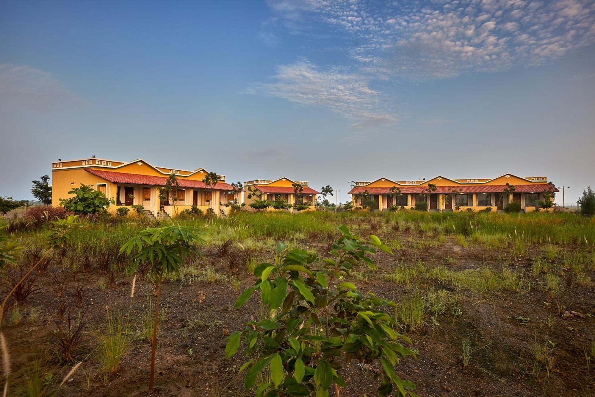 Blackbuck Safari Lodge Velavadar Bavliari Zewnętrze zdjęcie