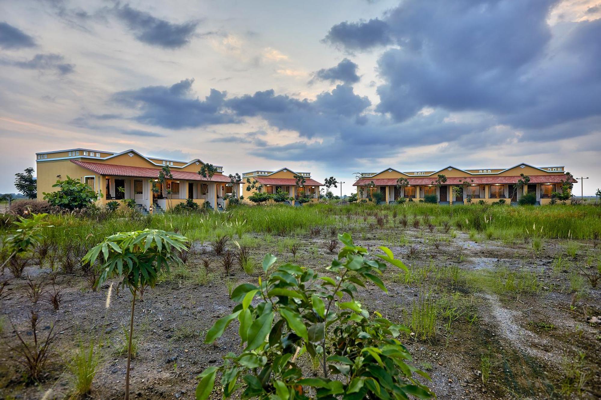 Blackbuck Safari Lodge Velavadar Bavliari Zewnętrze zdjęcie