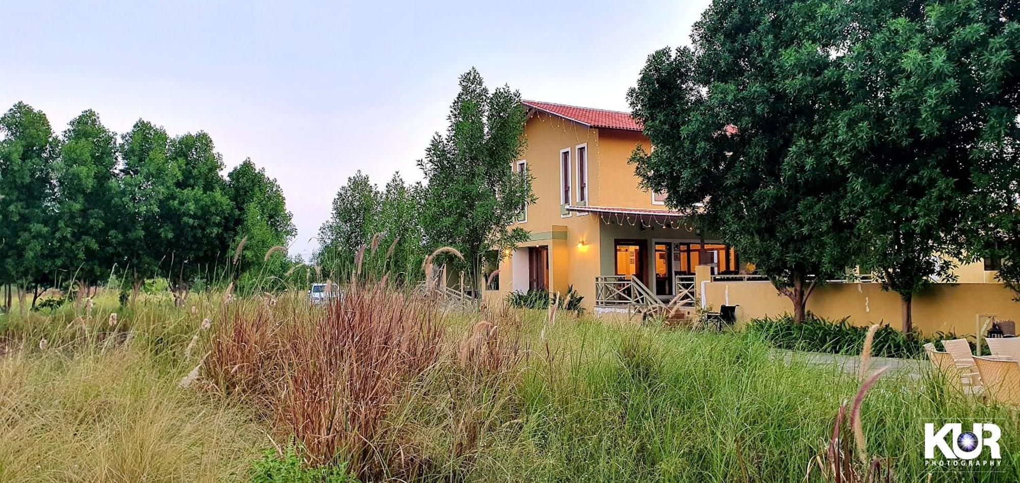 Blackbuck Safari Lodge Velavadar Bavliari Zewnętrze zdjęcie