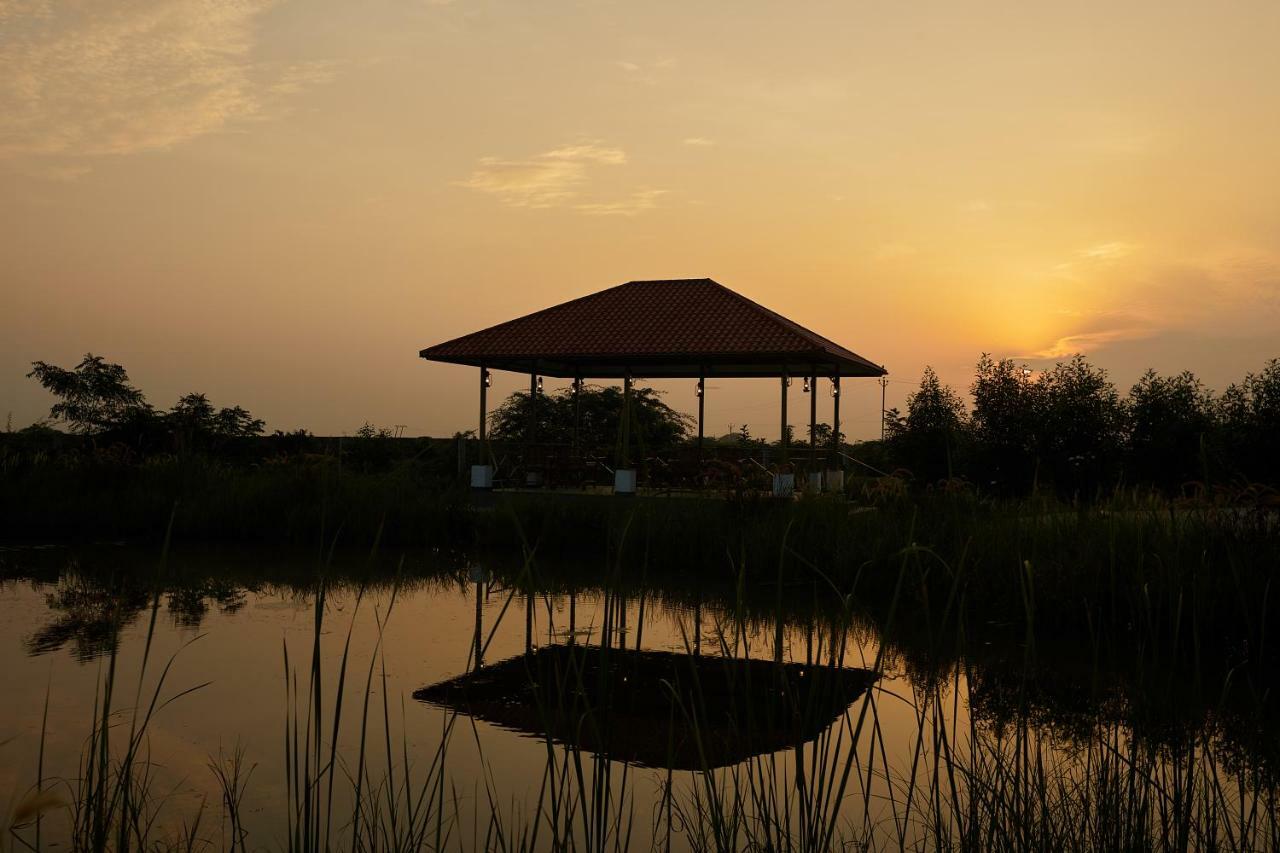 Blackbuck Safari Lodge Velavadar Bavliari Zewnętrze zdjęcie
