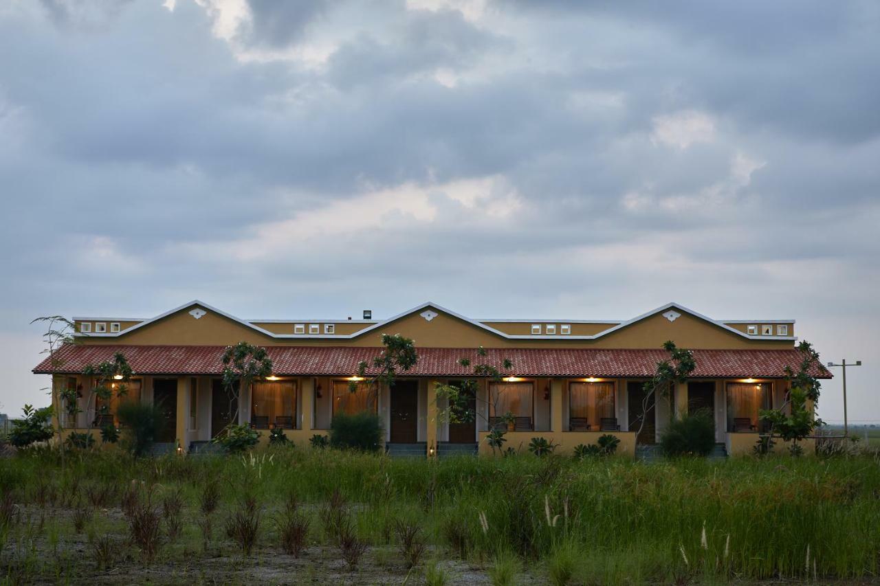 Blackbuck Safari Lodge Velavadar Bavliari Zewnętrze zdjęcie
